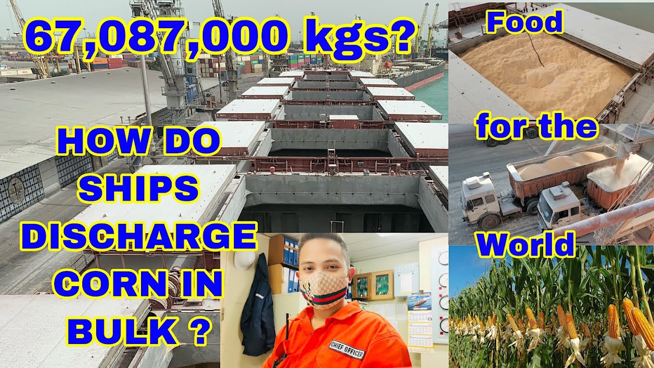 HOW DO CARGO SHIPS DISCHARGE CORN IN BULK | PRECAUTIONS | CHIEF Red SEAMAN VLOG EP.10