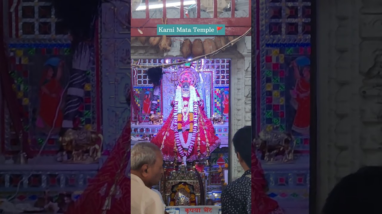 Karni Mata Temple, Udaipur 🚩#karnimata #bikaner #rajasthan #jodhpur #jaipur #rajput #karnimatatemple