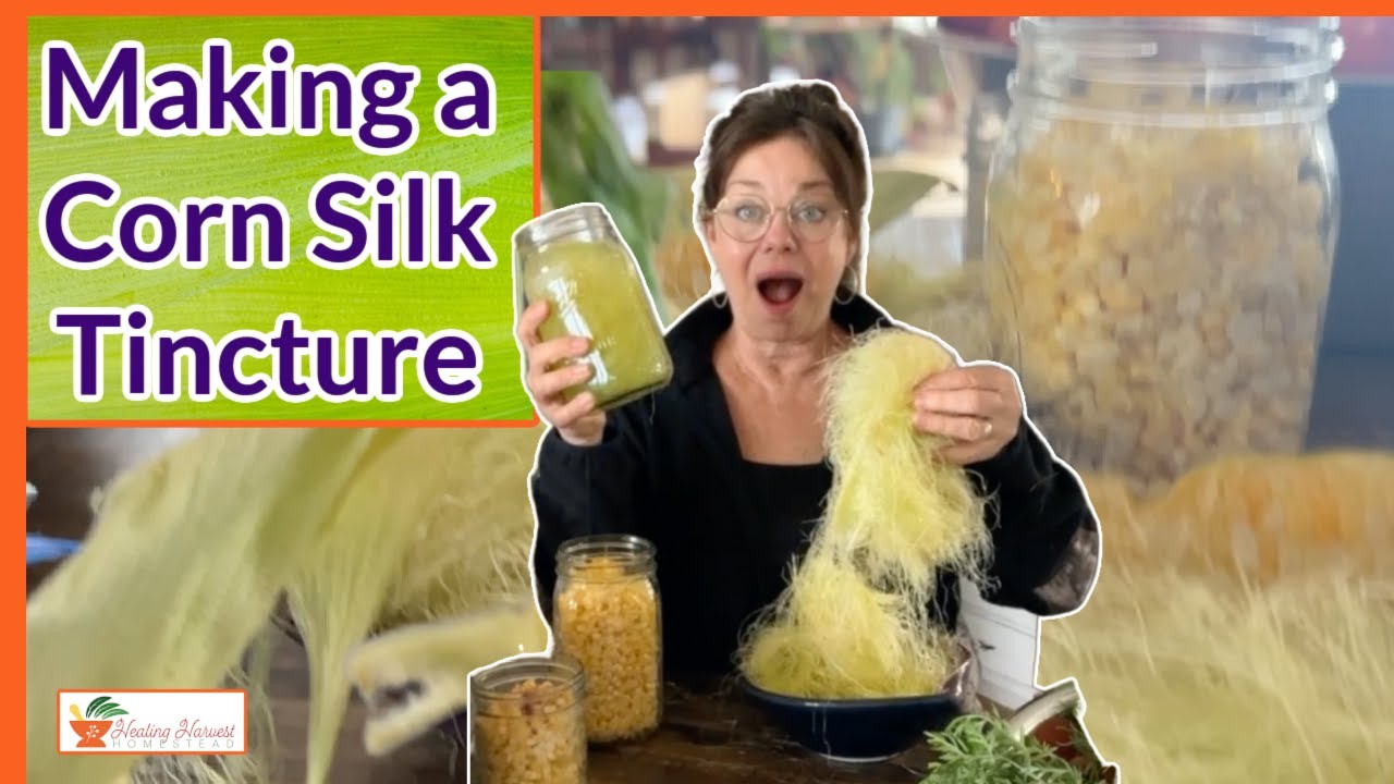 Benefits of Corn Silk and How to Make a Corn Silk Tincture