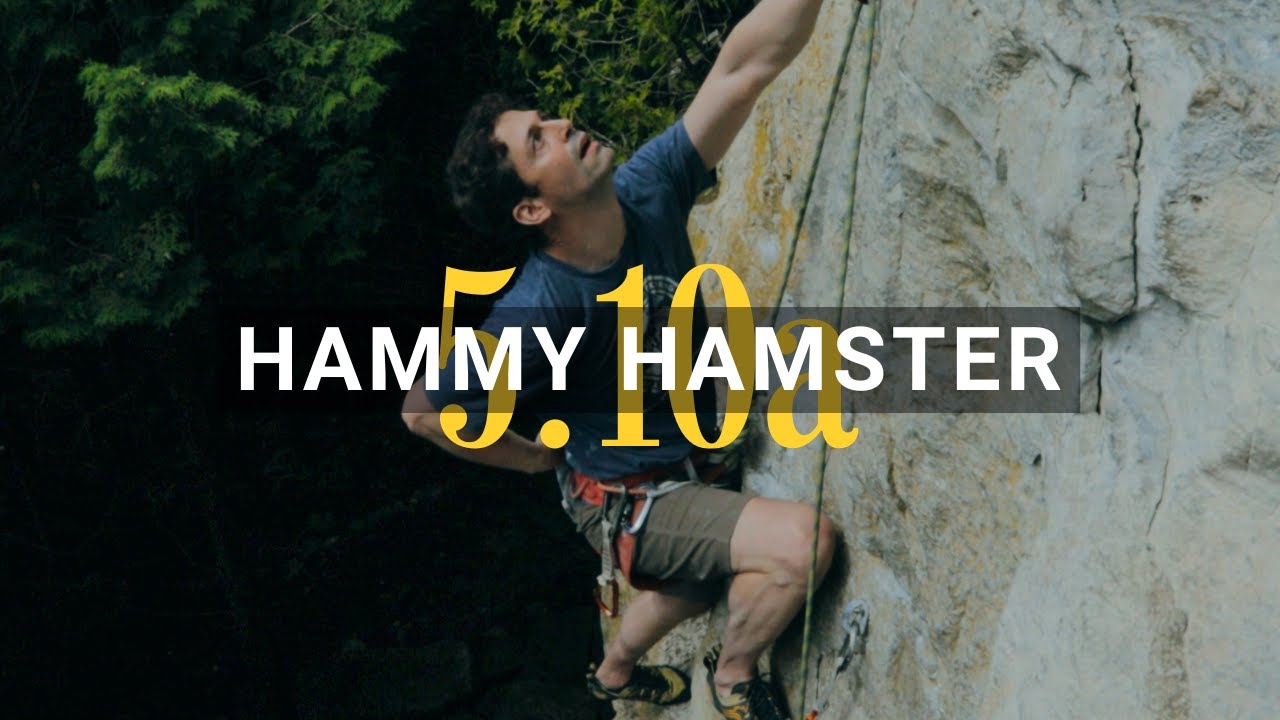 Chris taking down Hammy Hamster 5.10a in The Swamp \\ Ontario Sport Climbing
