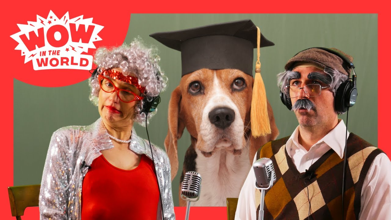 Dogs Go to School?! 🐶| Gramma G-Force & Thomas Fingerling React | Wow in the World PODCAST 🎧