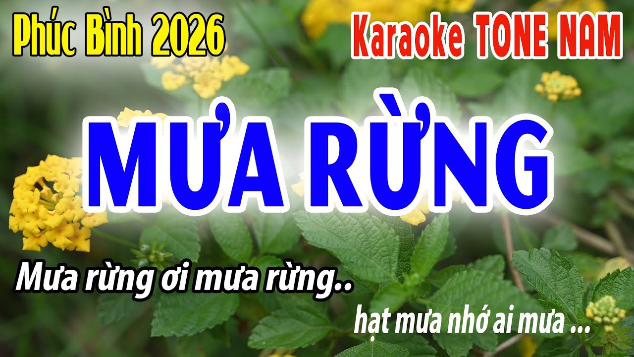 Mưa Rừng Tone Nam | Cm | Karaoke Ph&uacute;c B&igrave;nh | Beat 2026