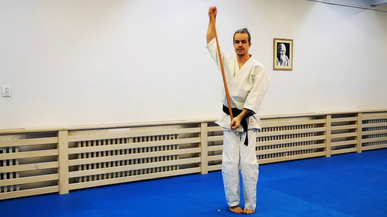 Aikido Jo (short staff) - basic sliding in hands