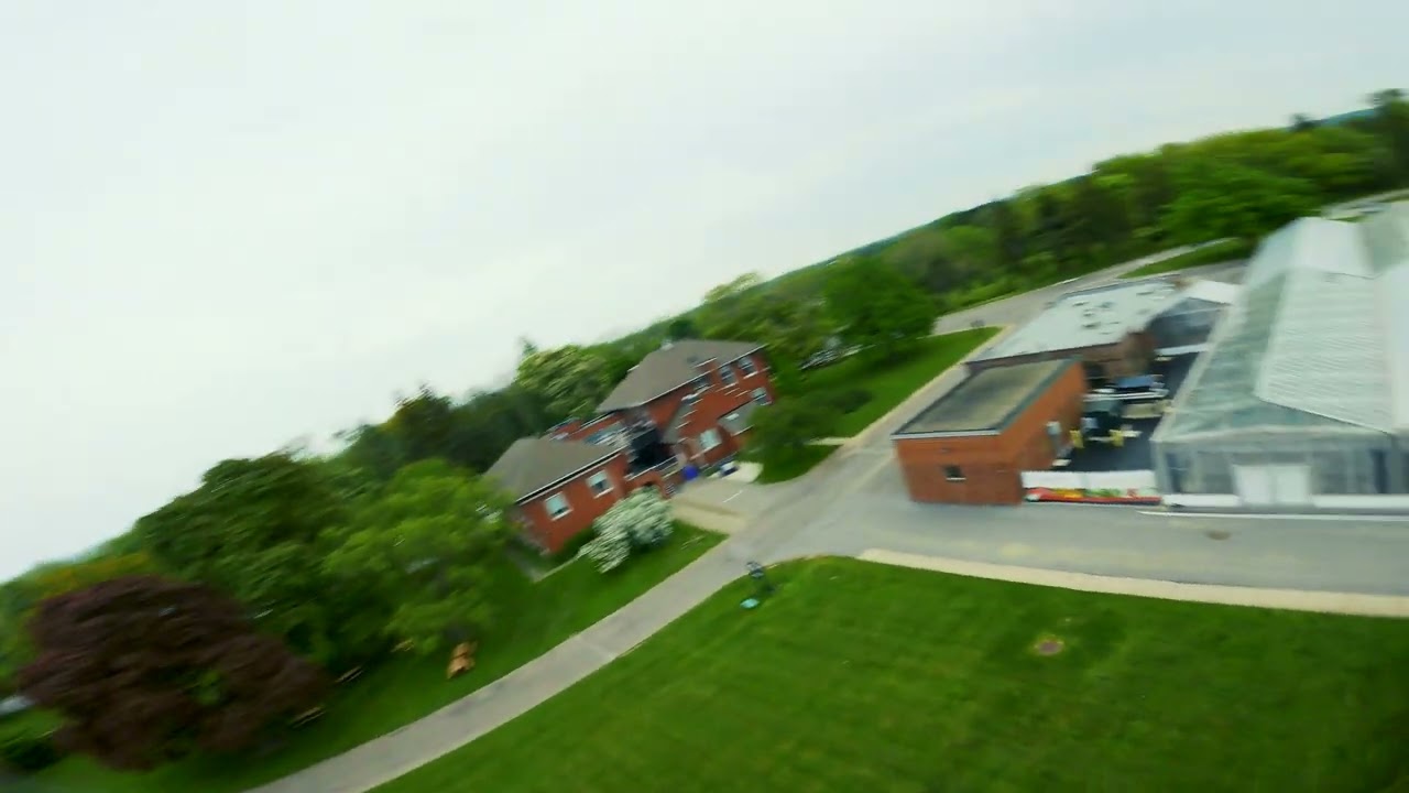 Pretty Trees FPV Freestyle