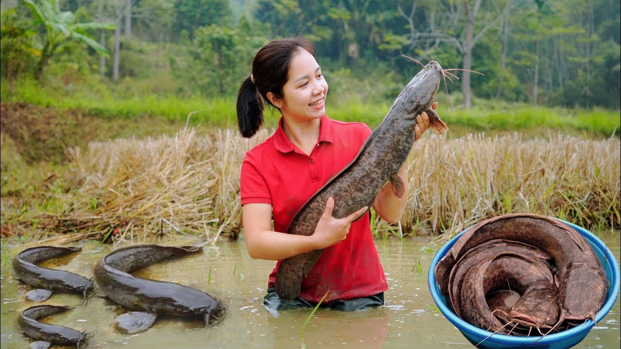 Harvesting Big Stone Fish and Sell at the Market | Farm Life & single mother | L&yacute; Tử Ti&ecirc;n