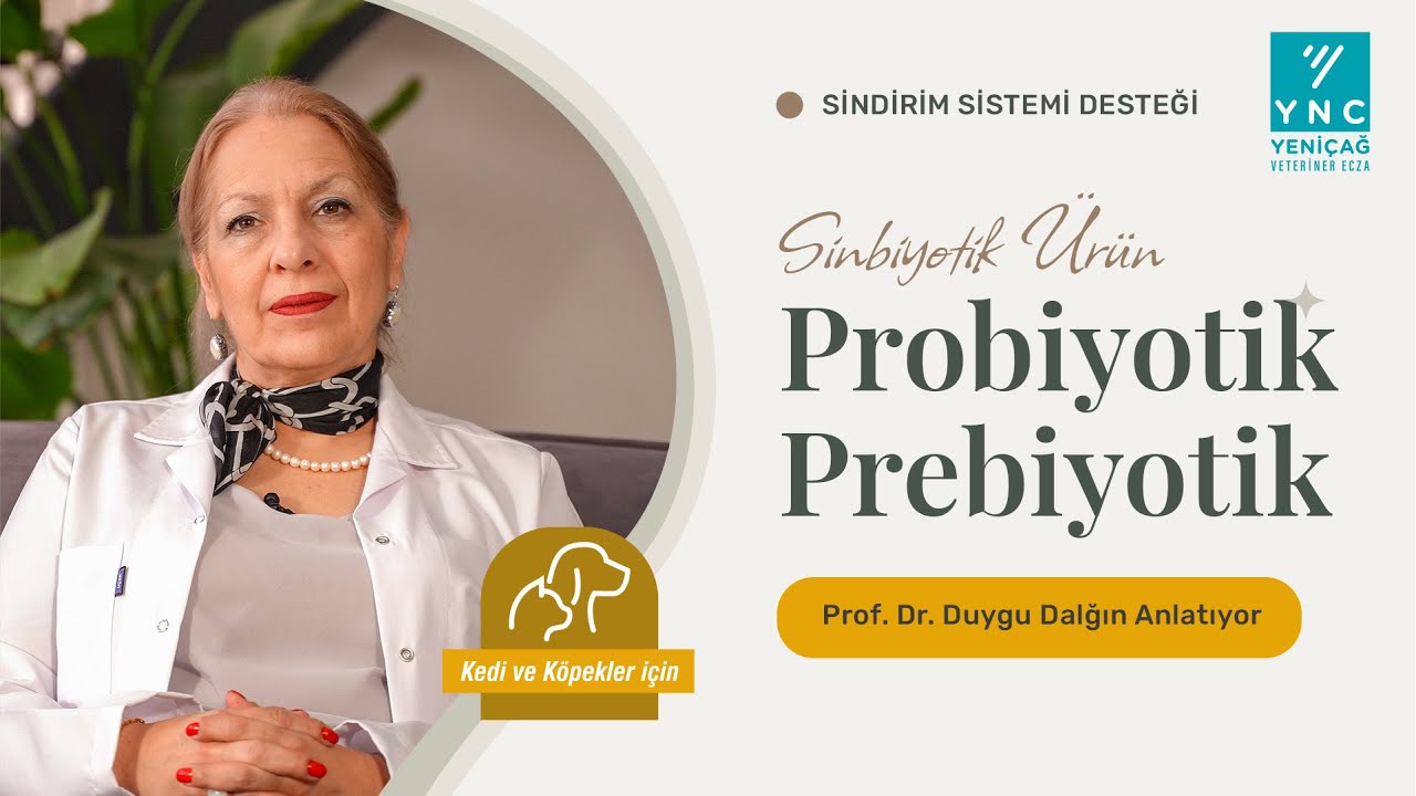 İkinci beyin; Bağırsaklar | Duygu Hoca Anlatıyor