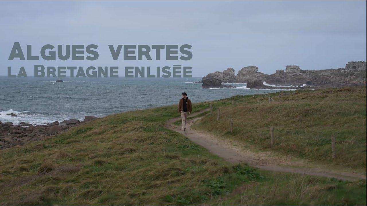 #Projet360 | Algues vertes, la Bretagne enlisée