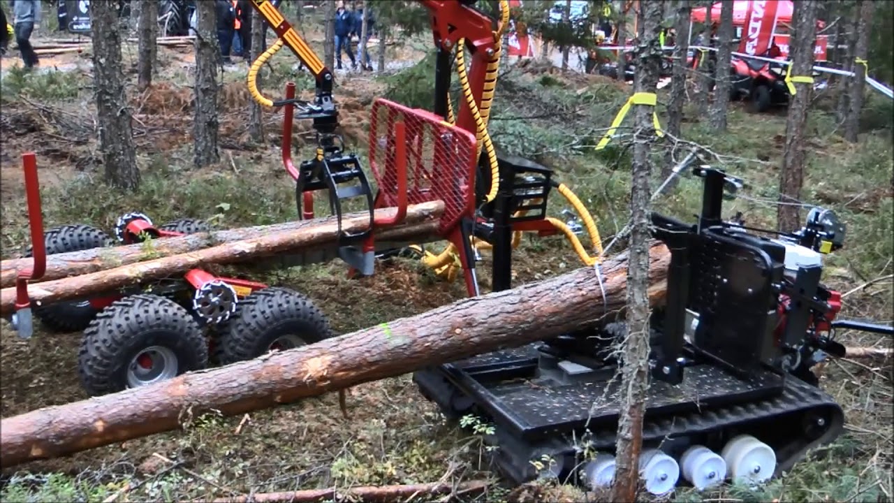 JärnHäst FLEXMETODEN