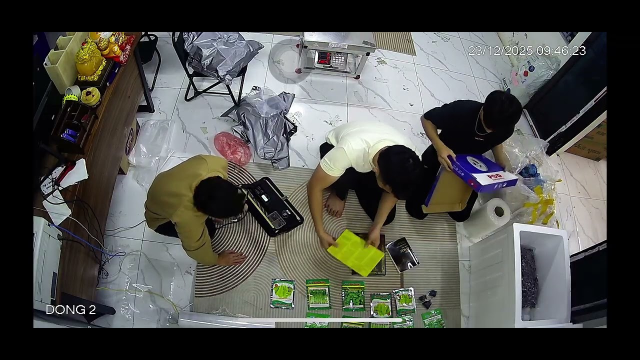 Đơn Cỏ Hoa