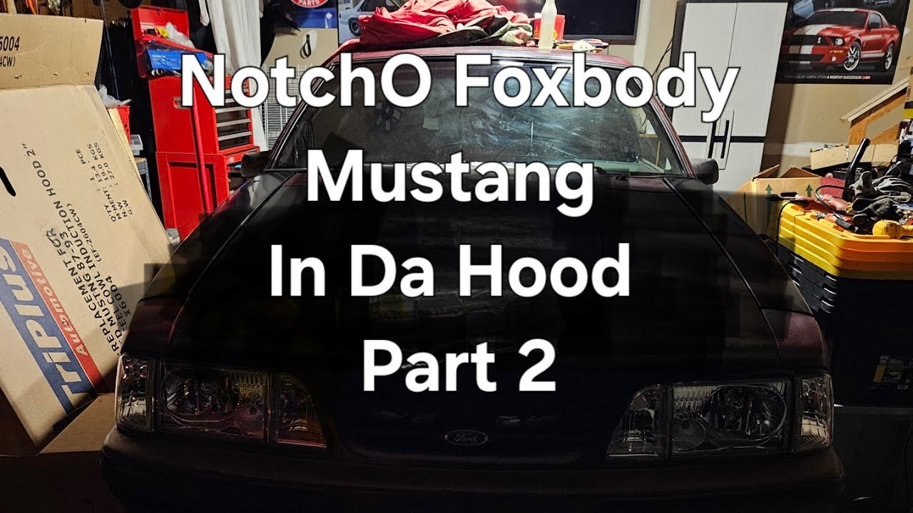We Aquire A Goodmark Cowl Induction Hood