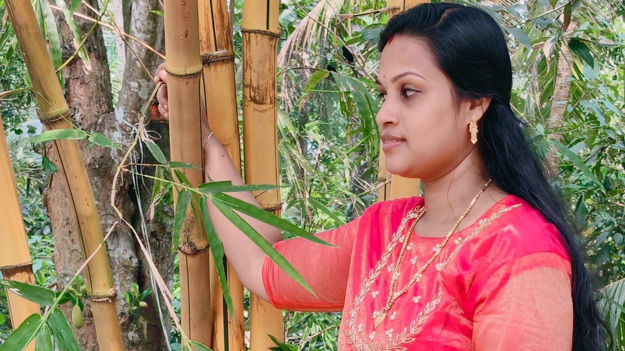 വാ 🥰🥰🥰🥰🥰😘#live #yt #trending #viral