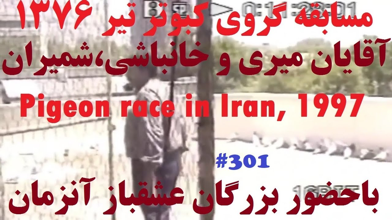 کلیپ زیرخاکی گروی کبوتر تیر 1376 آقایان سیداحمدمیری و سعیدخانباشی از شمیران pigeon racing iran 1997