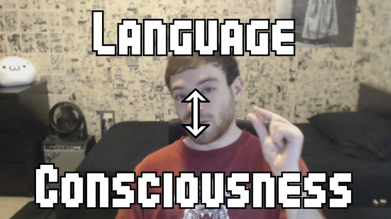 Consciousness and Language Acquisition