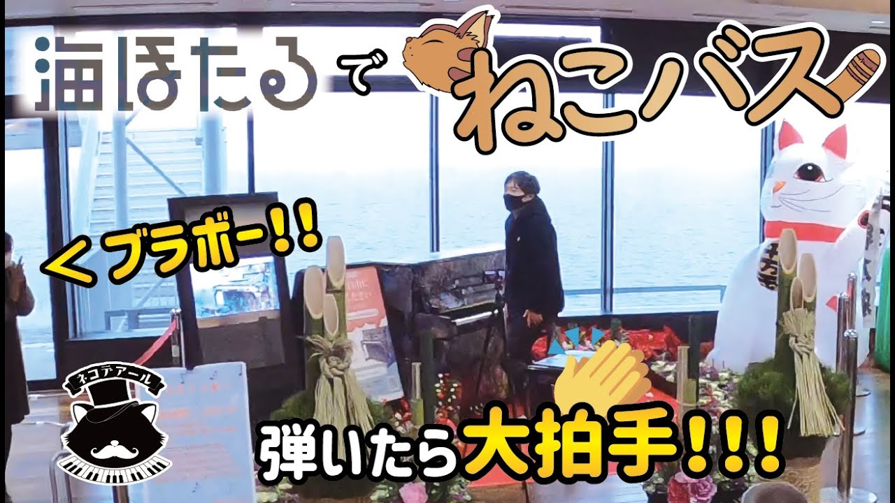 【海ほたる】ストリートピアノで ねこバス 弾いたら大拍手!!!
