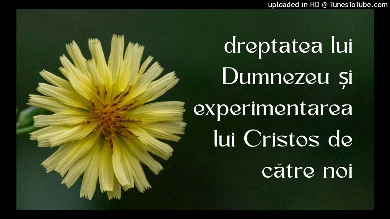 dreptatea lui Dumnezeu și experimentarea lui Cristos de către noi