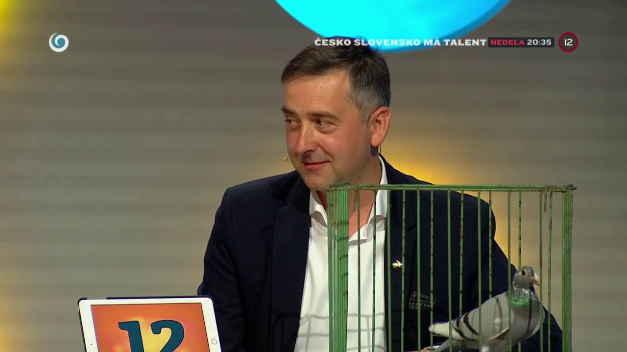 Holuby v INKOGNITE