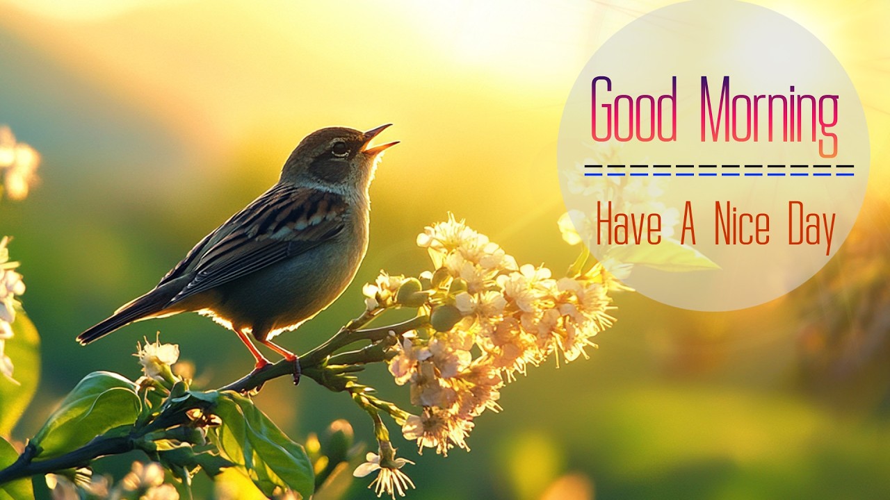 BEAUTIFUL MORNING MUSIC - Wake Up Smiling with Positive Energy - Morning Meditation Music For Relax