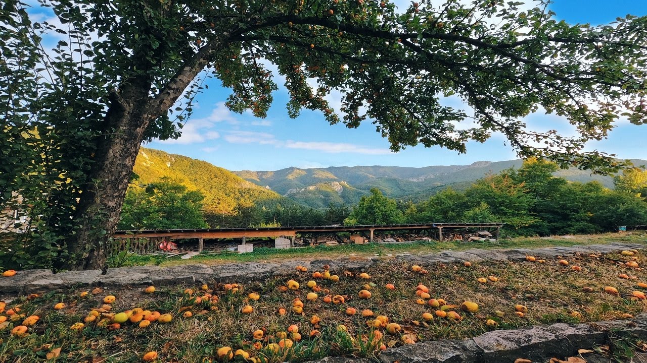 Beauty of the Rhodopes, Bulgaria | Красотата на Родопите