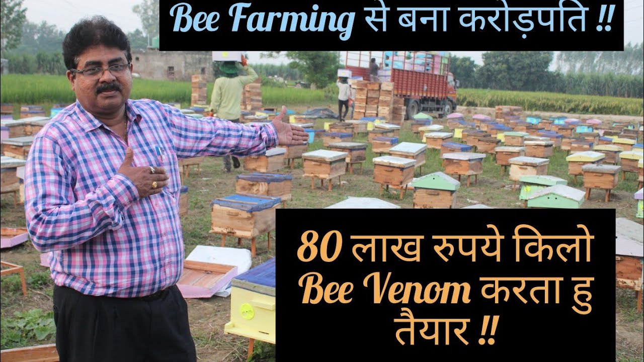 Bee Farming से बना करोड़पति ||80 लाख रुपये किलो Bee Venom || Successful Farmer || Hello Kisaan