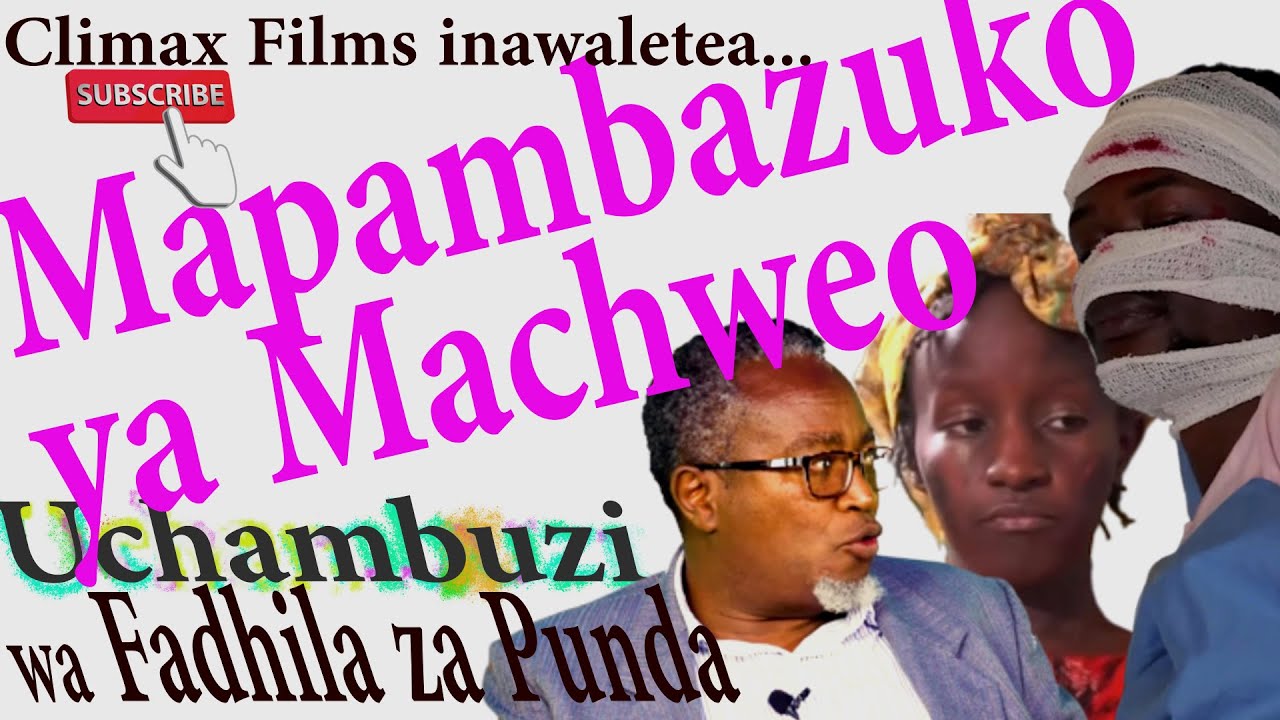 Fadhila za Punda | Mapambazuko ya Machweo - Udadisi