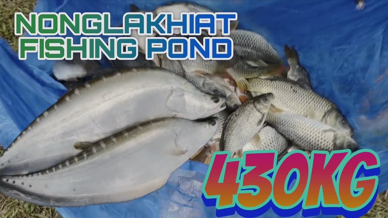 430kg LAH IOH BAN THEH DOHKHA BIANG HA NONGLAKHIAT FISHING POND PH-88370 49717