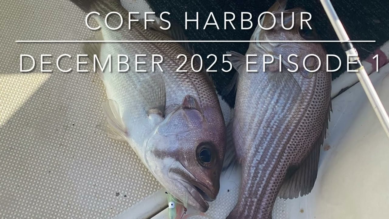 Coffs Harbour December episode 1 