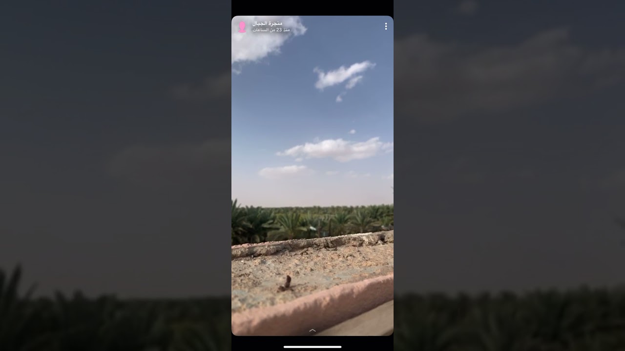 النبي صلى الله عليه وسلم يمسك بيد عمر بن الخطاب