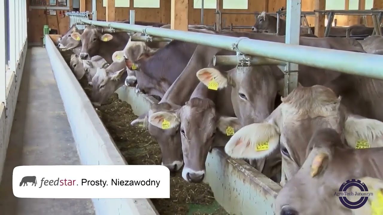 System automatycznego karmienia Feedstar.