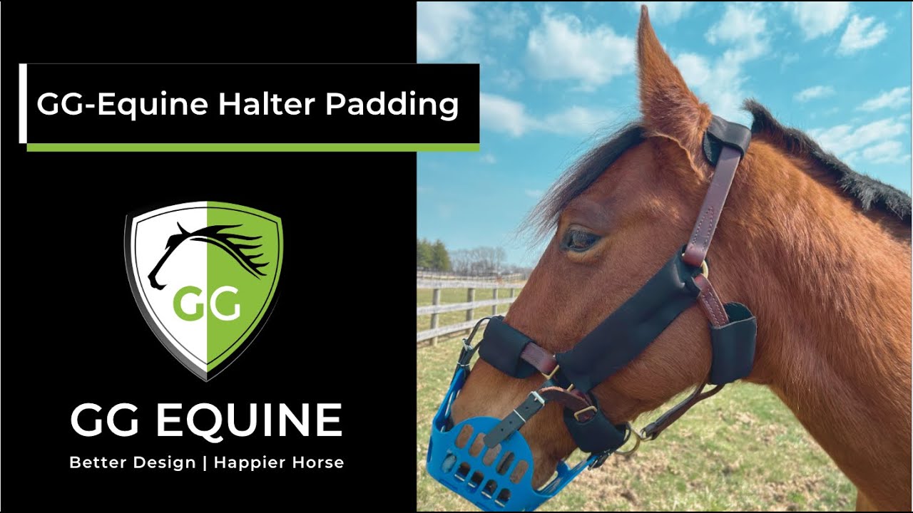 How to Use GG Equine Anti-Rub Halter Pads to Prevent Muzzle & Halter Sores