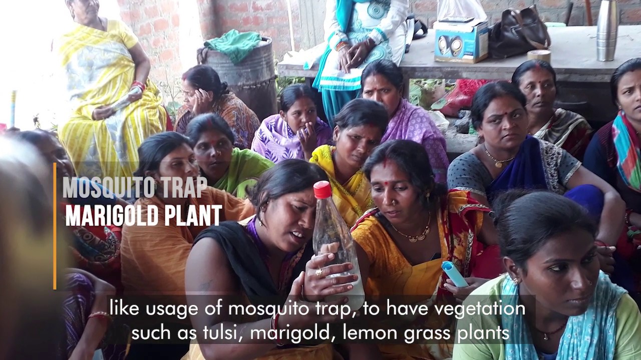 Sheetal Pal for Our Climate Solutions - Young Voices Tackling the Climate Challenge