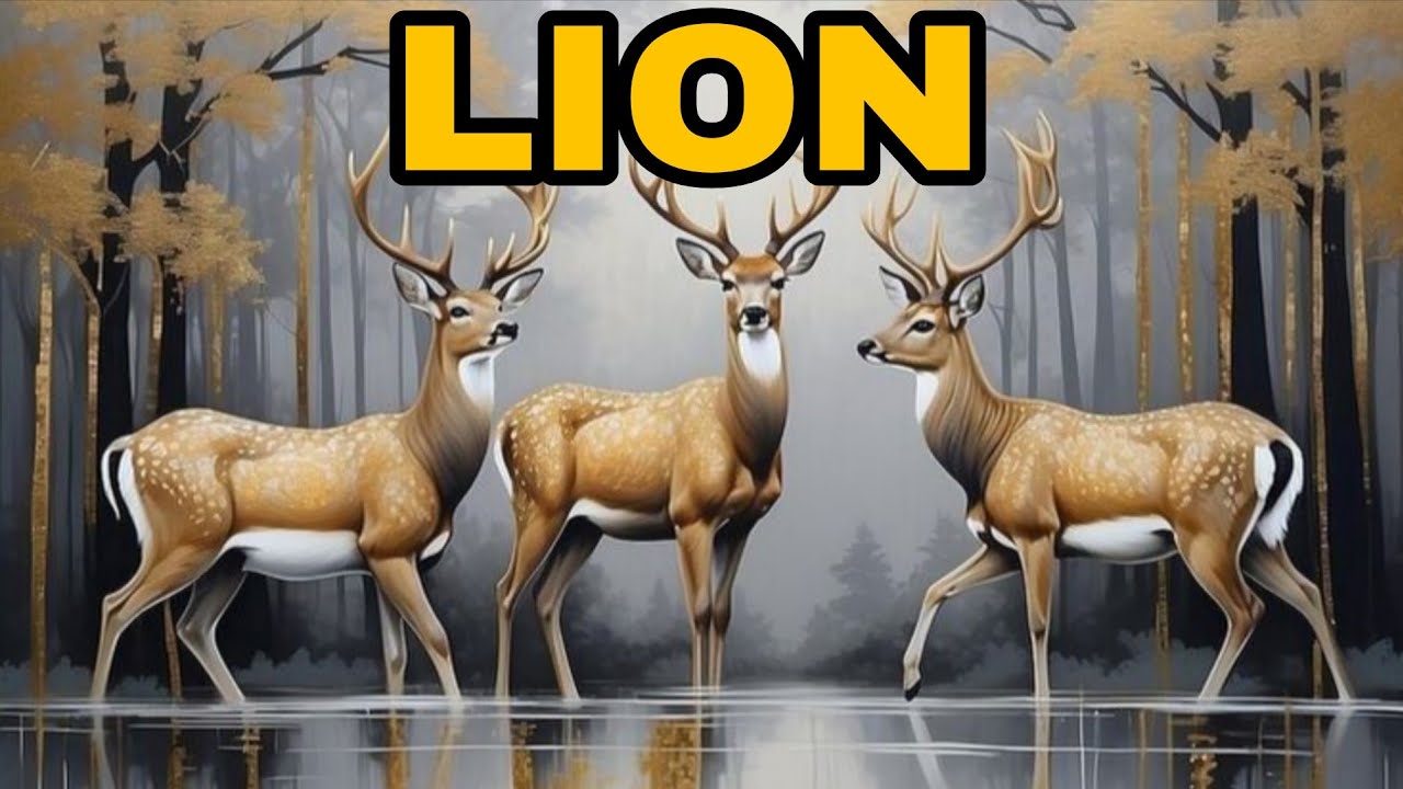 LION❤️ Wow‼️ Quelqu'un vous veut vraiment beaucoup, vous le connessez 😳🫣