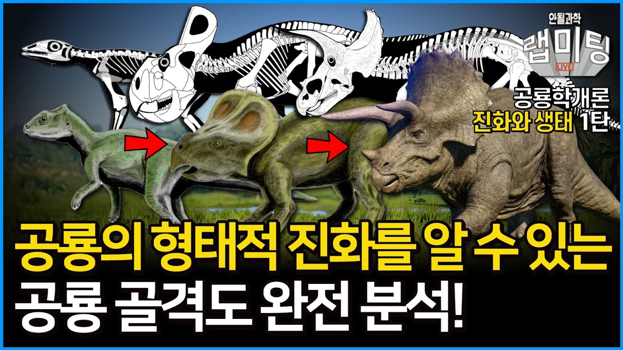 공룡의 형태적 진화는 어떻게 확인할 수 있을까? 공룡 골격도 완전 분석! 공룡의 진화와 생태 1부! [공룡연구 200주년 기념 특집 공룡학개론 7/9]