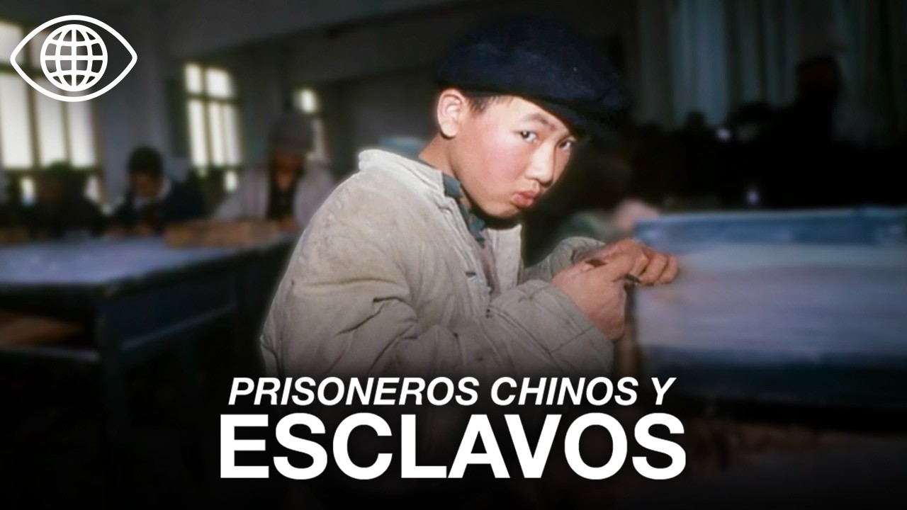 Prisioneros en China: el sistema oculto del trabajo forzado | Documental - AT