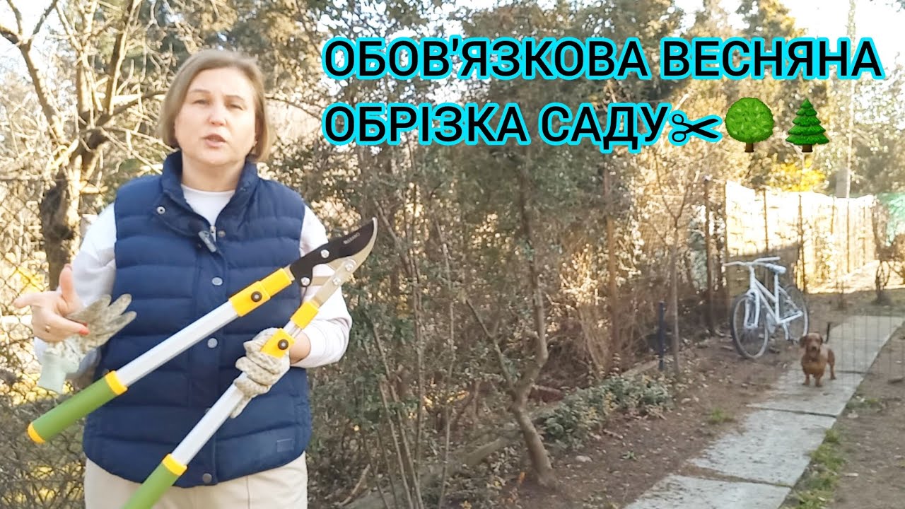 Обов'язкова ВЕСНЯНА ОБРІЗКА САДА🍎🍏Плодового і Декоративного#веснянаобрізкасада#веснянаобрізкадерев