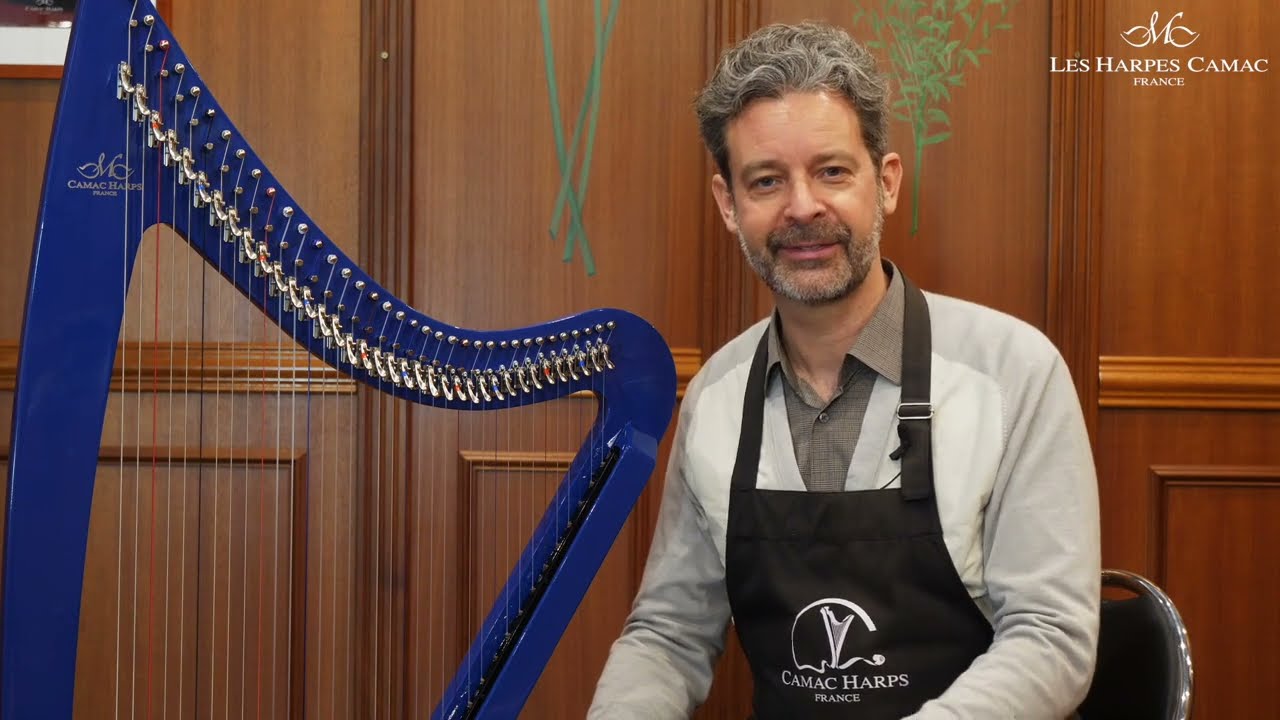 Les Tutos bleus | module 13 : remplacement d'un capteur sur une harpe électrique à leviers