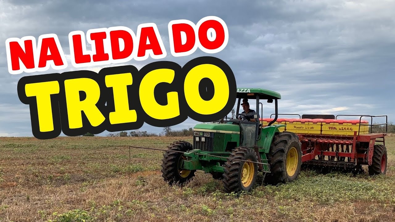 SEMEADURA DO TRIGO… em detalhes!!