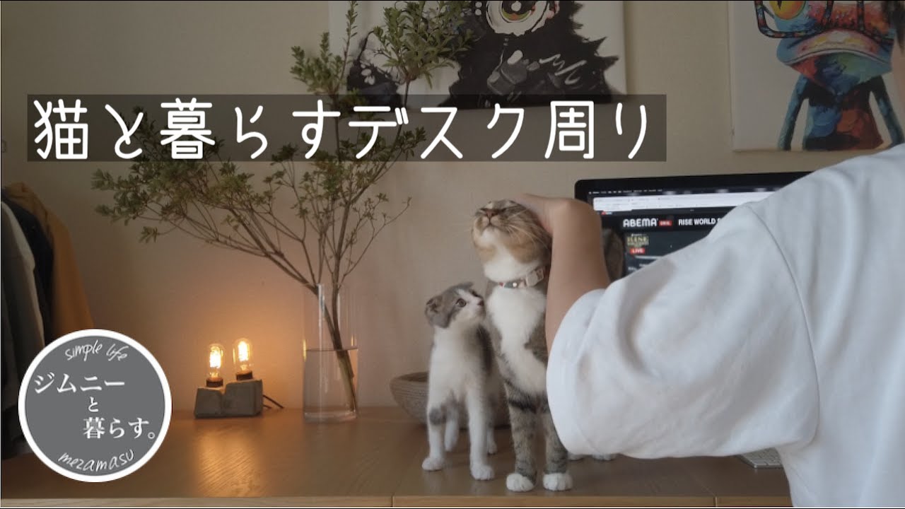 【猫と暮らす】デスクを買い替えました。猫と空間を共有します。