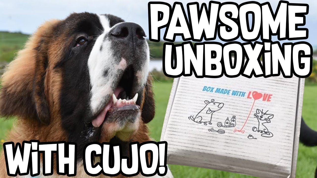 SquiddyVlogs - PAWSOME UNBOXING WITH CUJO!! [45]