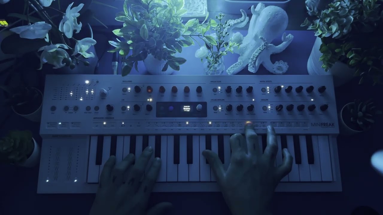 Arturia MiniFreak (Ambient) | Octopus