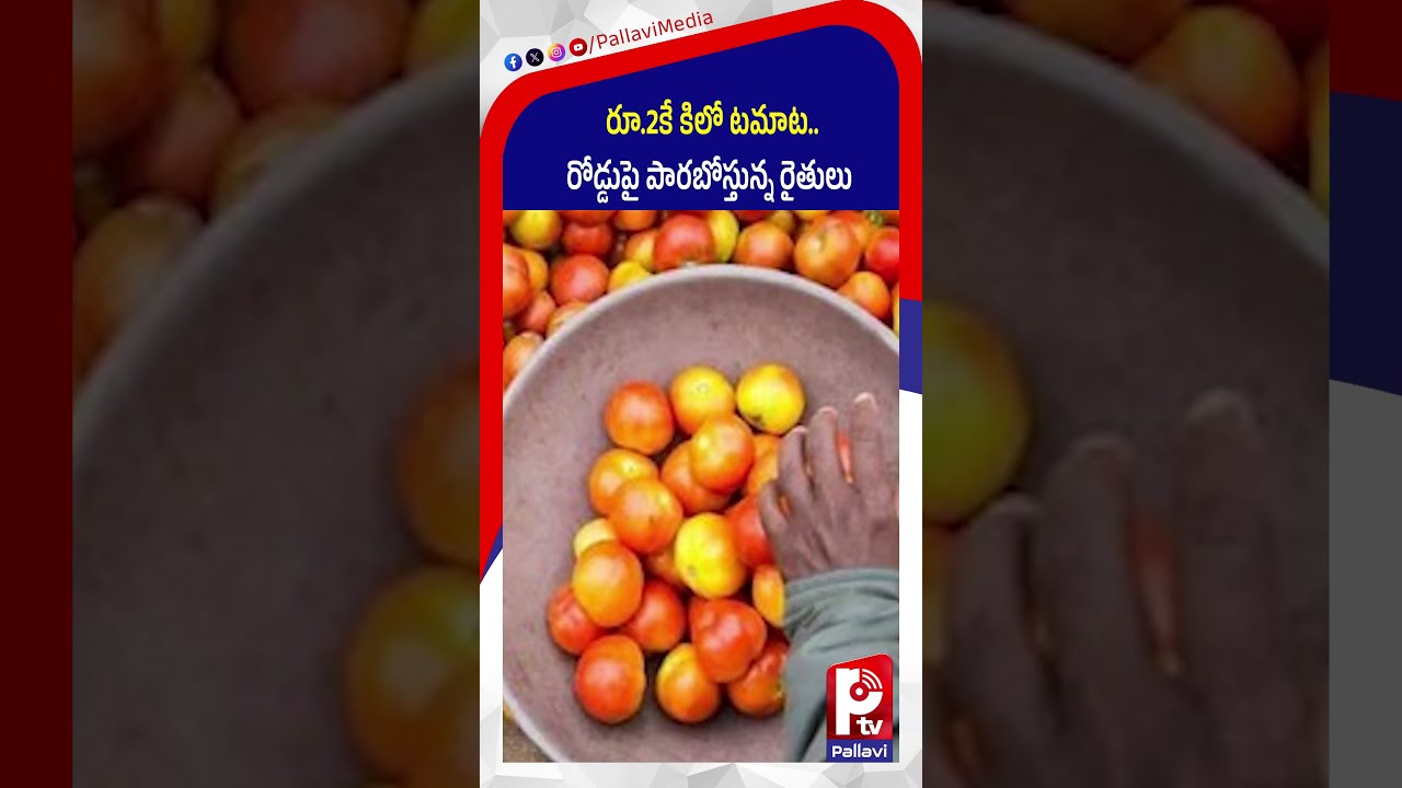రూ.2కే కిలో టమాట.. రోడ్డుపై పారబోస్తున్న రైతులు | Tomato Prices Crash | Vegetables Price Today