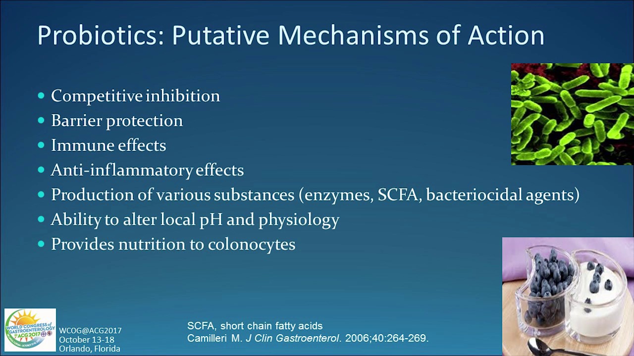 Updates in Pharmacological Therapy for IBS