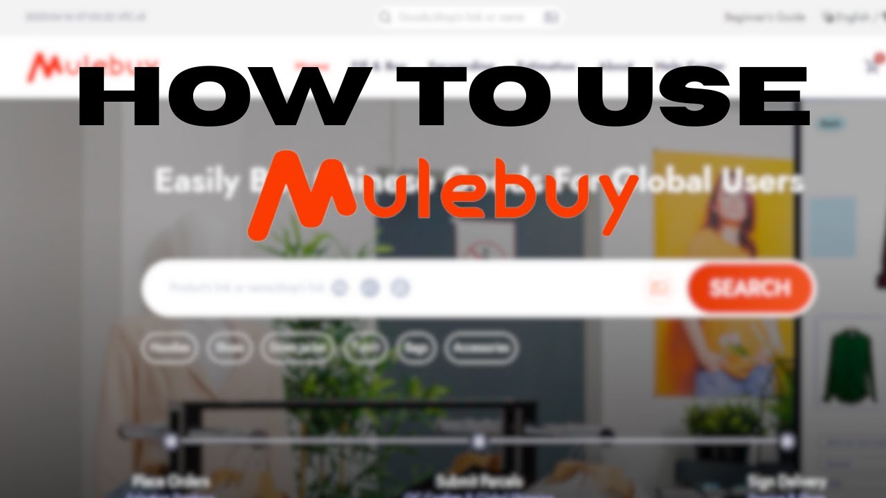 HOW TO USE MULEBUY | BEST AGENT TUTORIAL