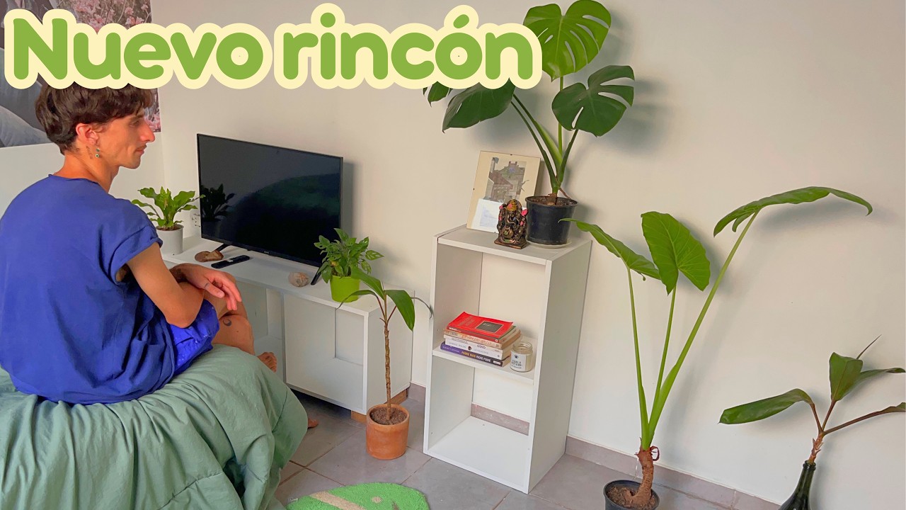 Solo usé PINTURA y el cambio fue increíble ✨ | Vlog
