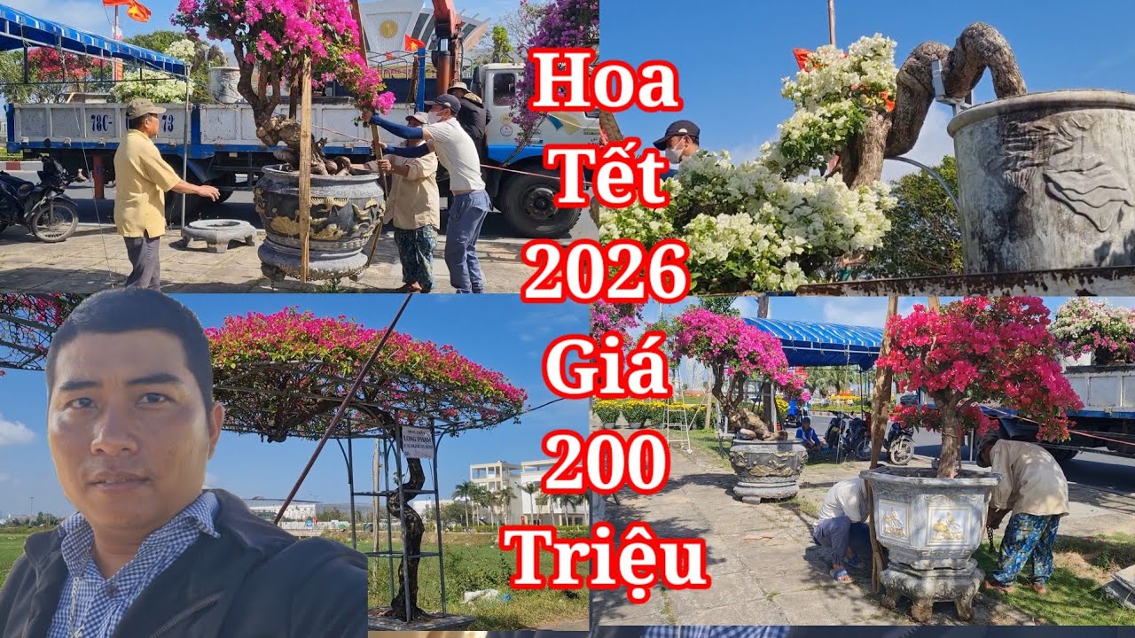 Kh&ocirc;ng kh&iacute; chợ hoa tết 2026 ở Tuy H&ograve;a Ph&uacute; Y&ecirc;n hoa giấy tết h&agrave;ng khủng trị gi&aacute; hơn 200 triệu