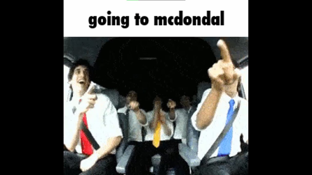 Tally Hall Gifs In A Nutshell