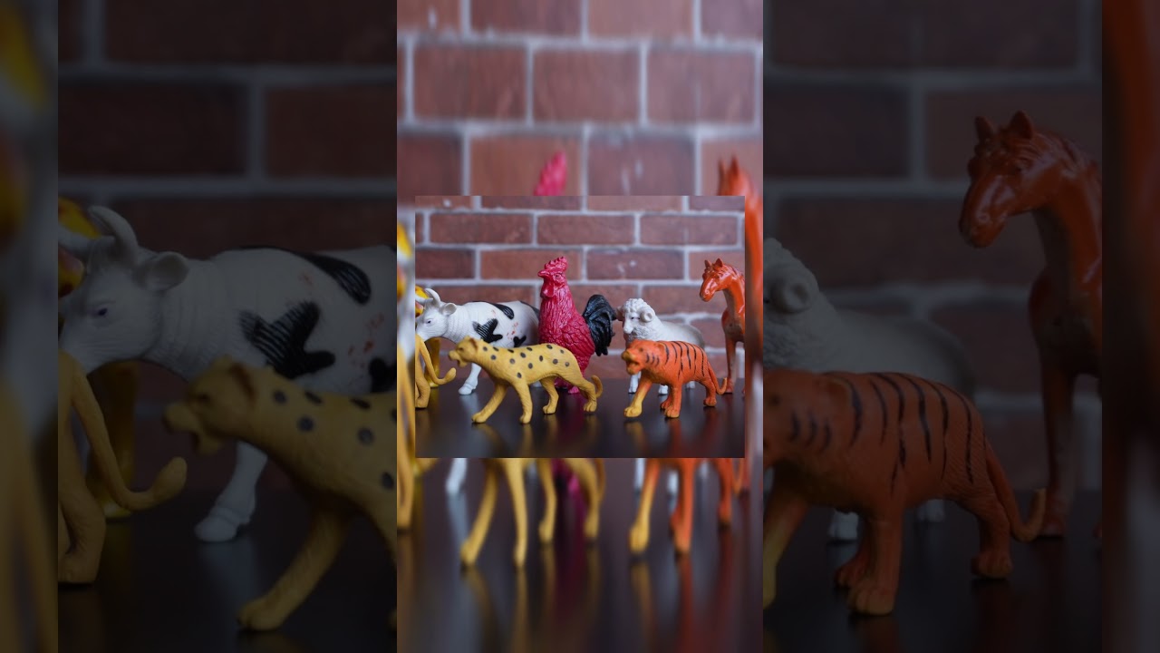 Chocho and Mumu's Animal Adventure: Exploring Wild and Farm Animals' Diet