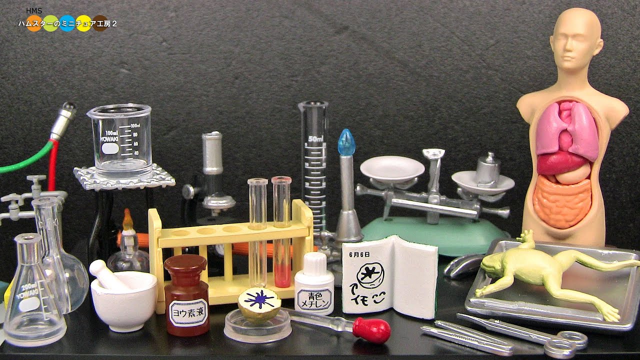 RE-MENT Science Room リーメント　ぼくらの理科室　全10種類