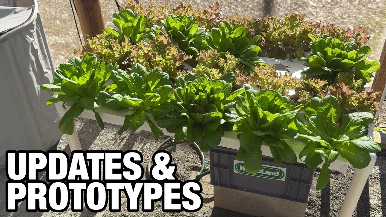 Updates: System Prototypes, Deep Flow Technique Strawberries, Hooch SBS Hive (Side by Side Hive)