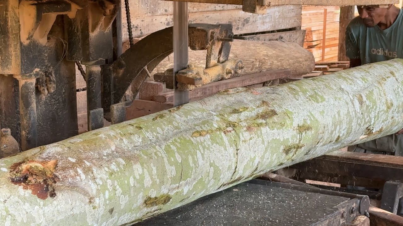 Complete Guide to Sawing 2x20 Wood with Sawmill Machine