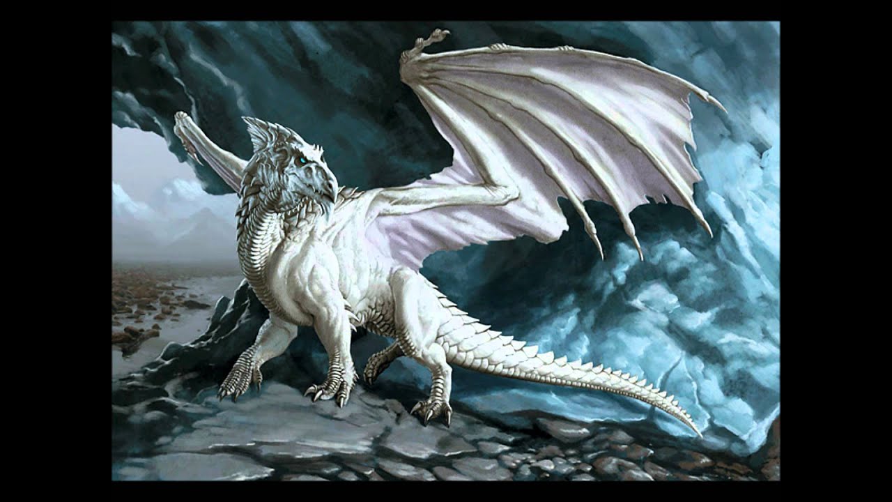 Z-Cat - White dragon